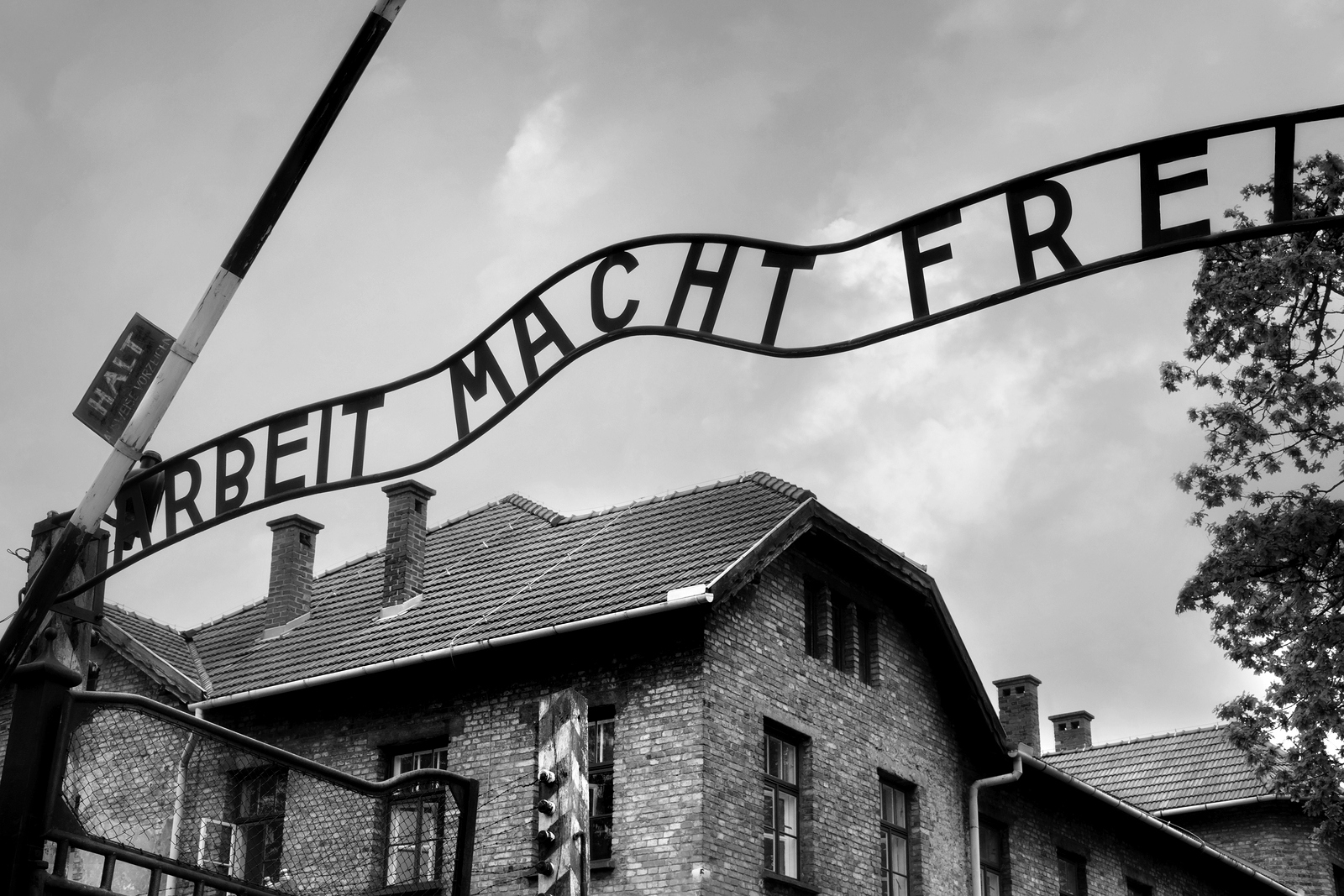 Odr an Razgovor Novi Pristupi Obrazovanju O Holokaustu Na Sveu ili tu 